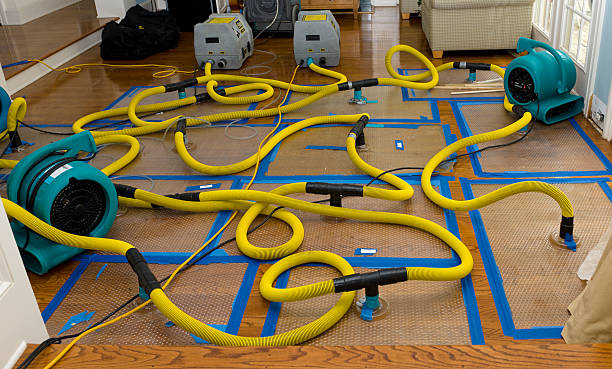 Professional Emergency Water Removal technician working in Prosper, TX